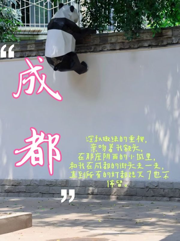 图片[6]-和我在成都的街头走一走，直到所有的灯都熄灭了也不停留（成都之行补记1）-神否