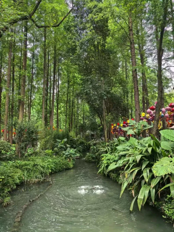 图片[6]-吃在成都,我还想再到成都的街头走走（成都之行补记2）-神否